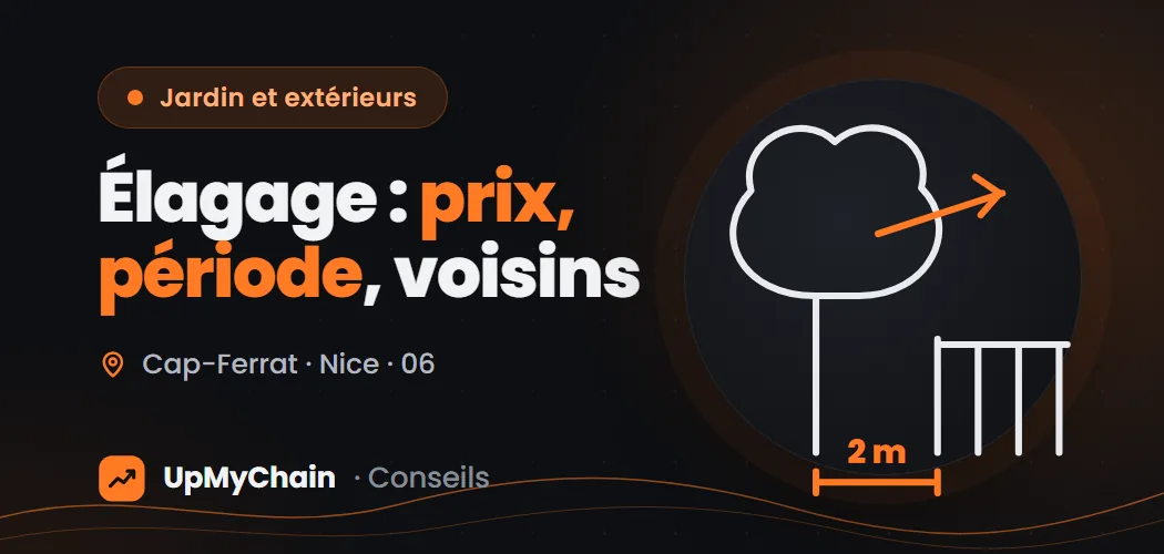 Élagage dans le 06 : prix, meilleure période et règles avec les voisins
