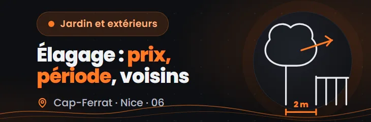 Élagage dans le 06 : prix, meilleure période et règles avec les voisins